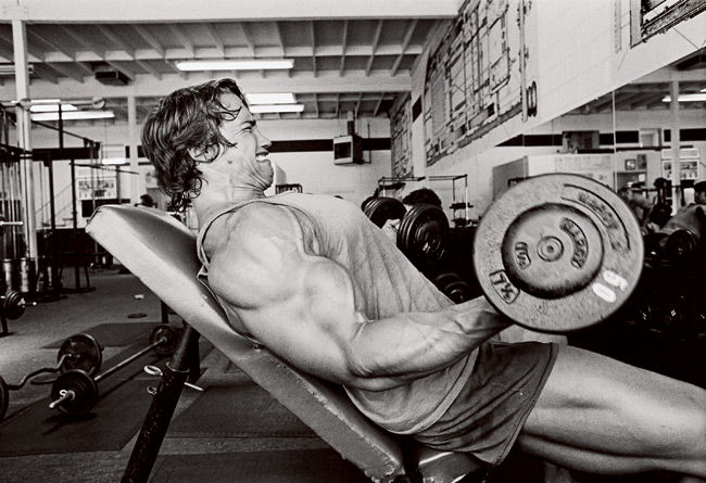 Arnold-Arms-3.jpg