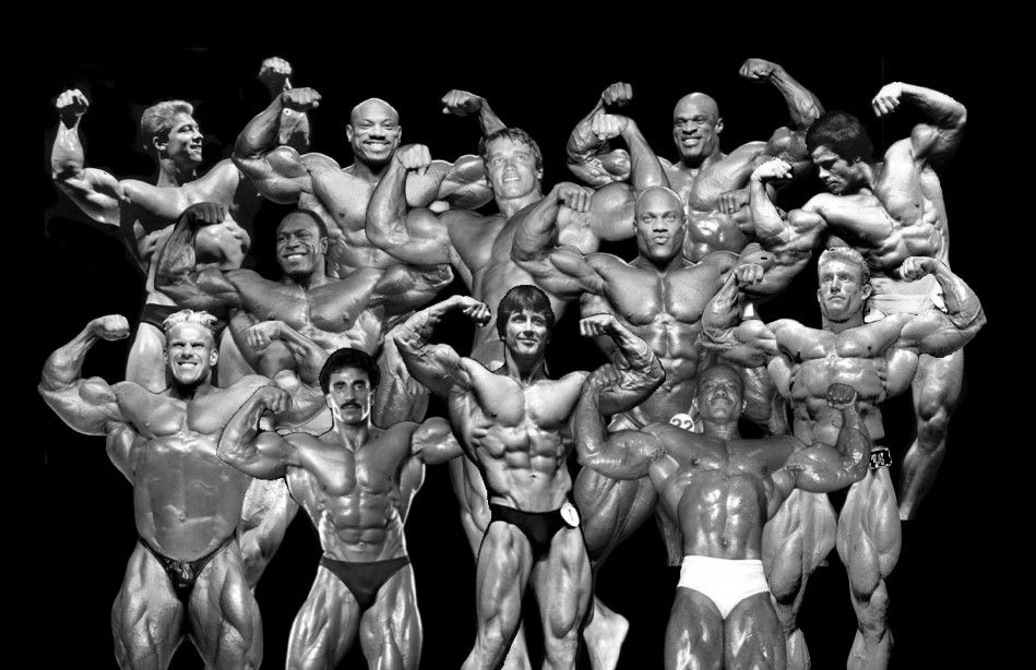 MR. OLYMPIA