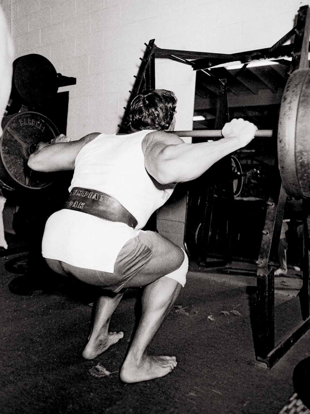 arnold3