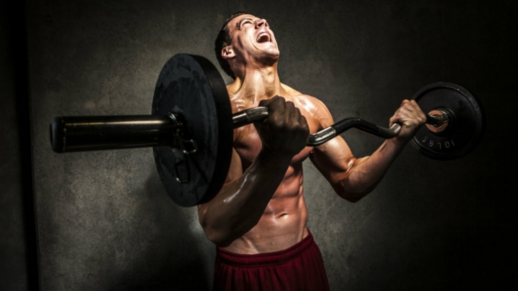 barbell-curl-9-ways-prime-pump.jpg