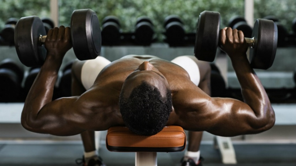 bench-dumbell-press-promo.jpg