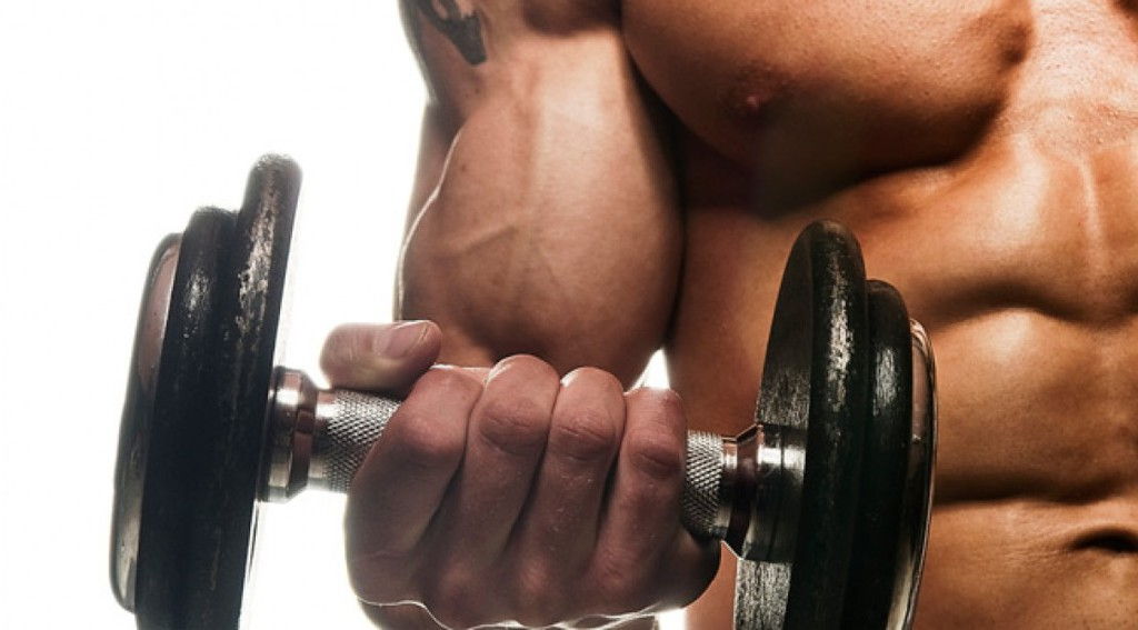 big-biceps-now.jpg
