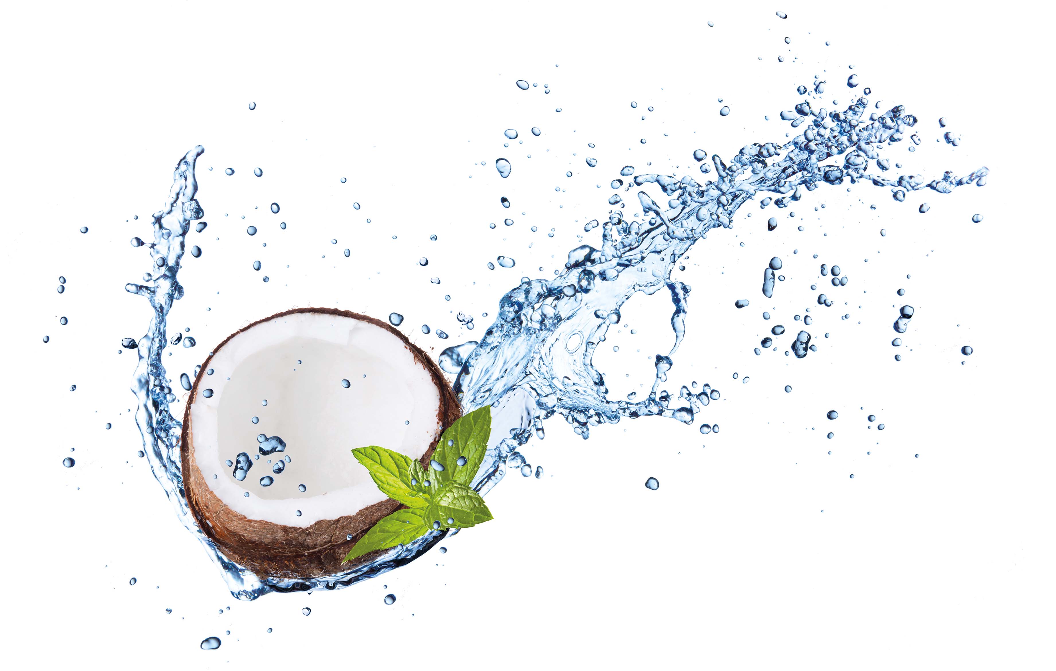 Isolated shot of cracked coconuts with water splash on white background