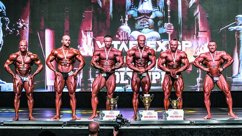 pro bodybuilding