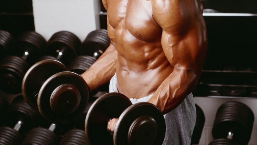 dumbbell-curl-biceps-promo.jpg