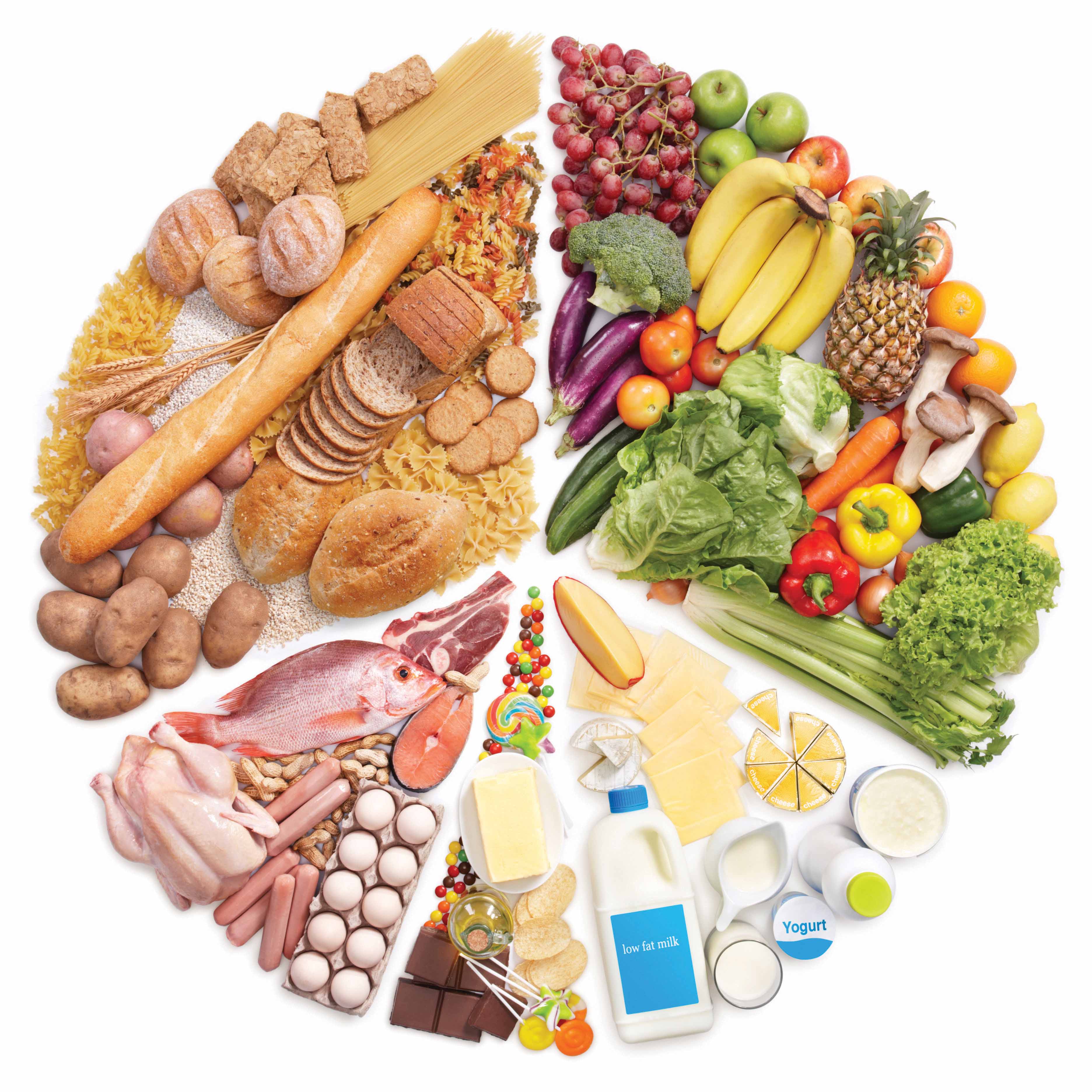 food pyramid turn into pie chart against white background