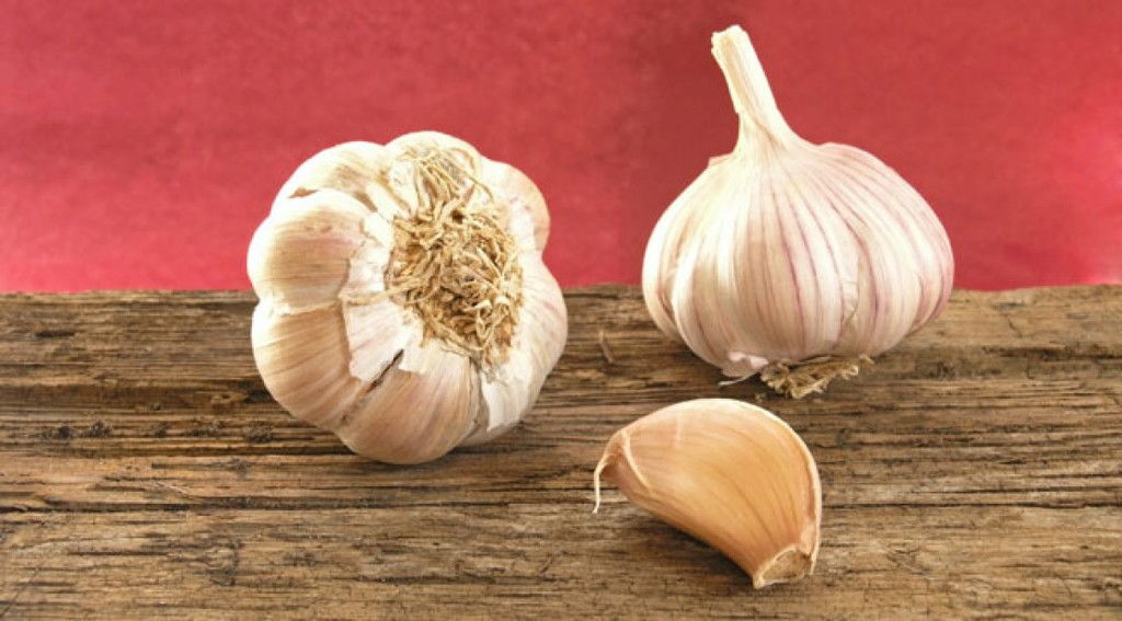 garlic.jpg