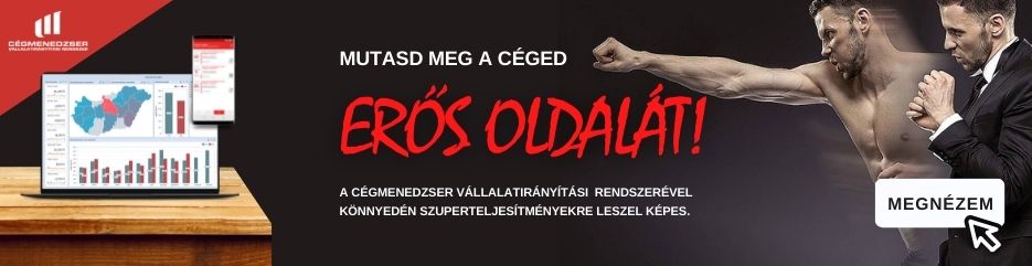 cégmenedzser