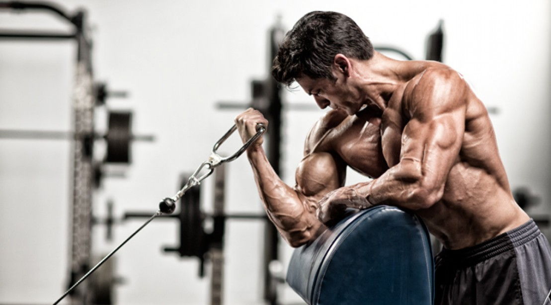 Bicepsz