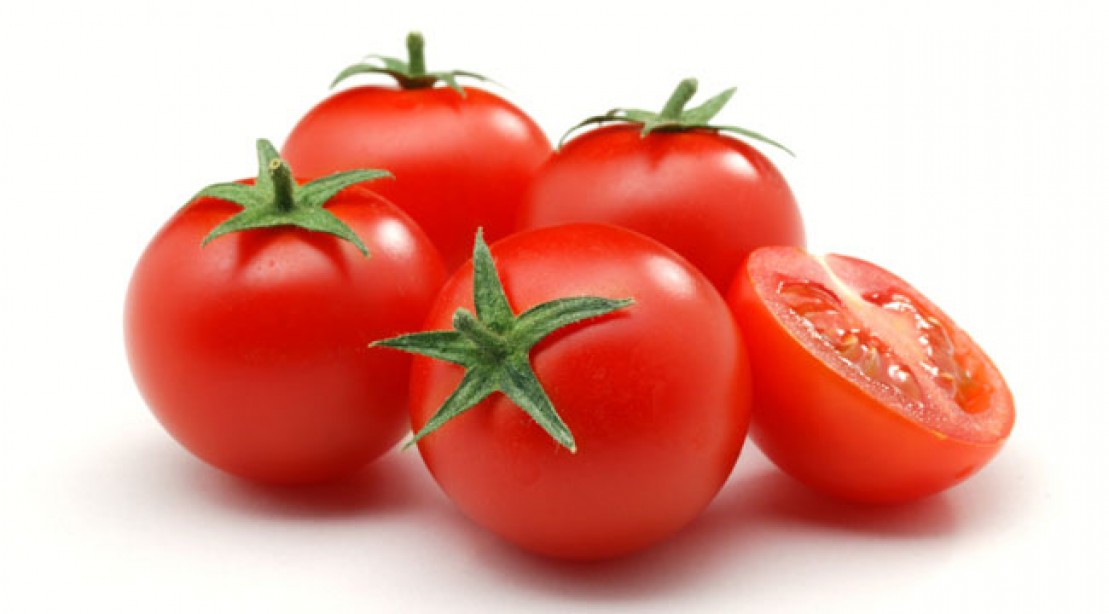tomatoes.jpg