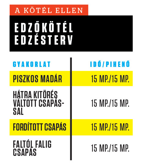 koteles edzes