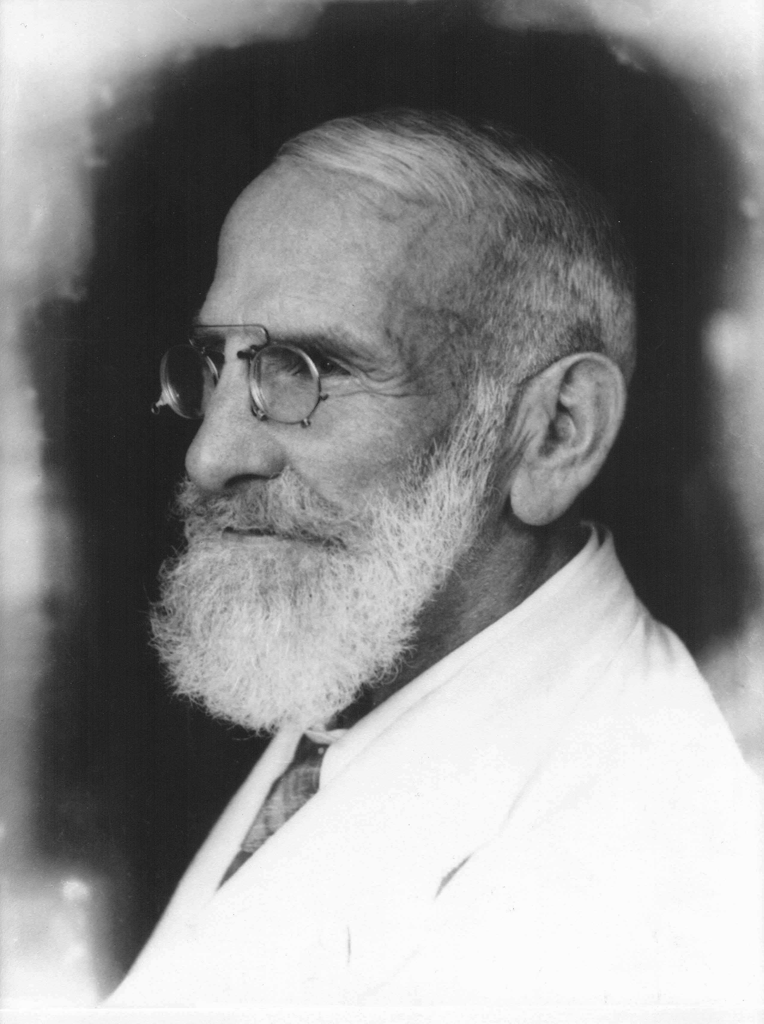 maximilian bircher benner wikipedia
