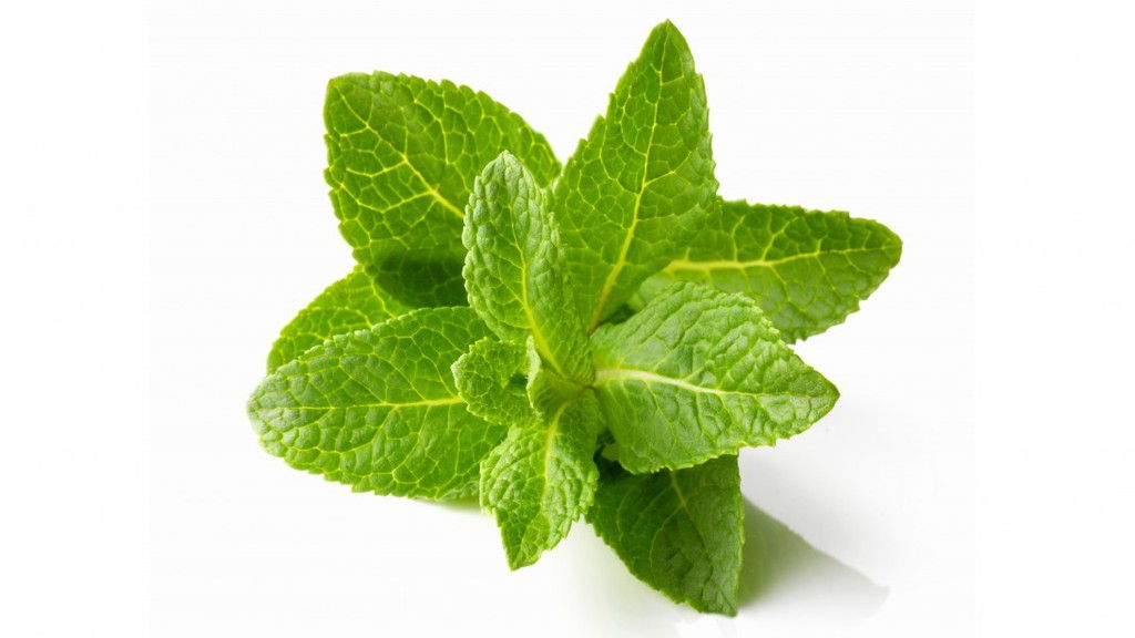 mint.jpg