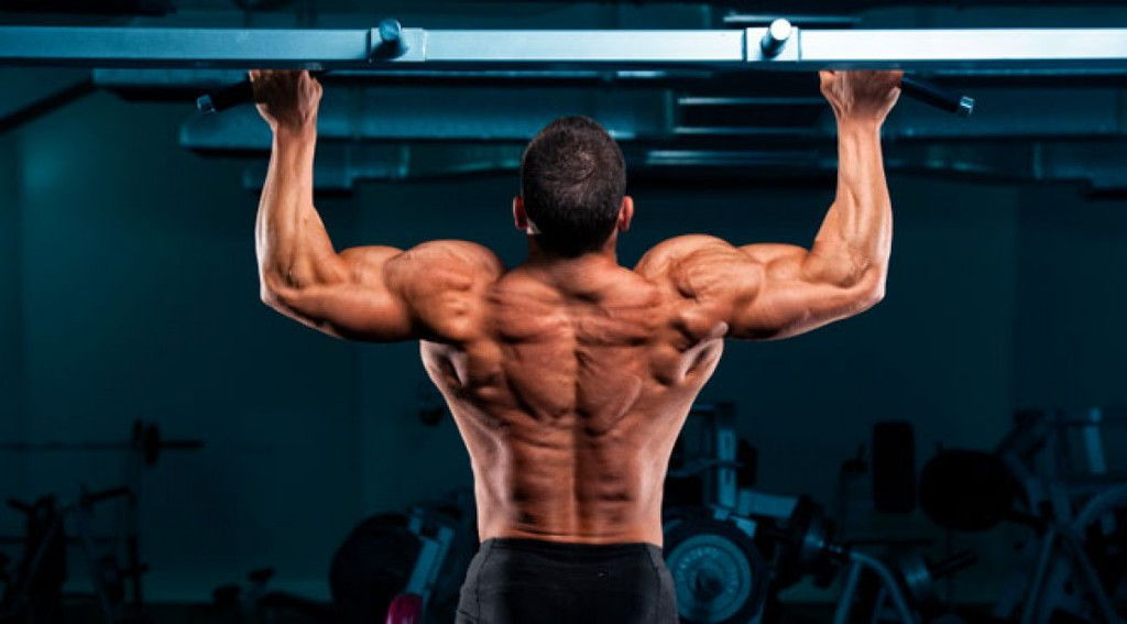 pullup_back.jpg