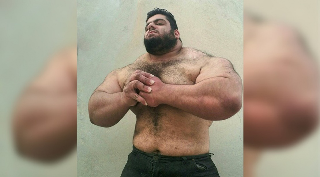 sajad2.jpg