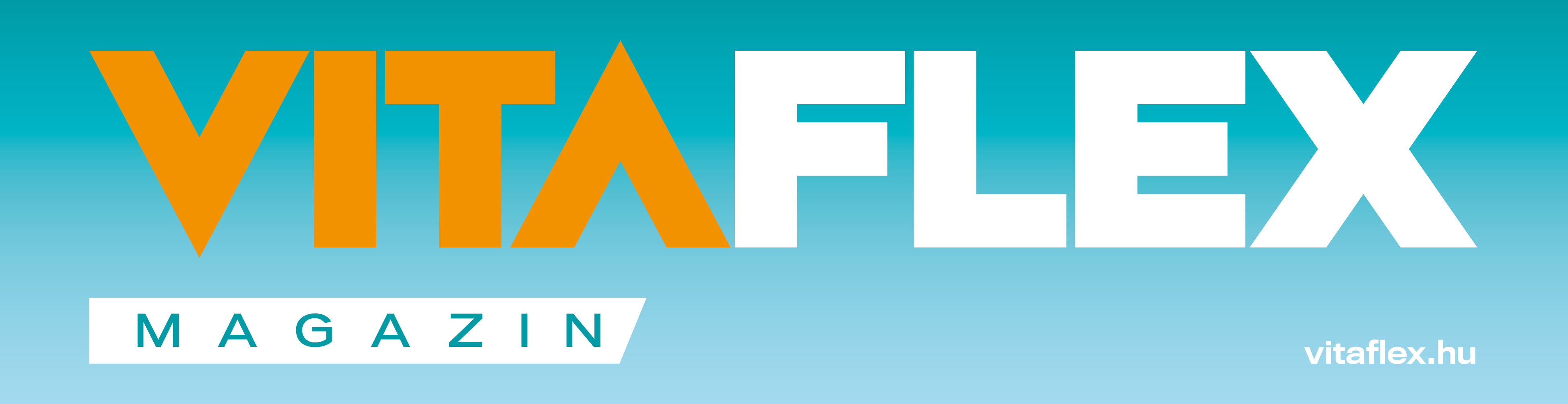 Vitaflex banner